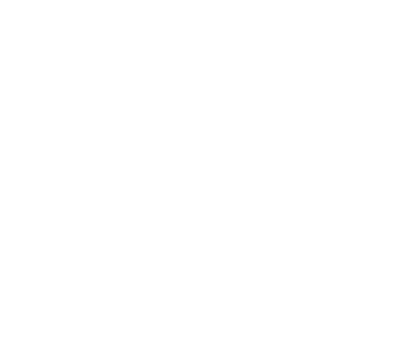 The Vitality Project